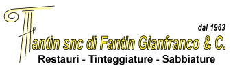 fantin logo